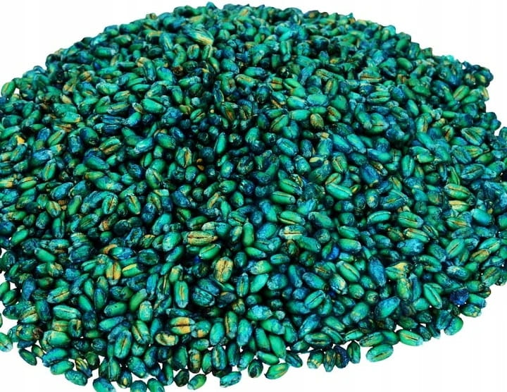 ONE-SHOT-myszy-szczury-zatrute-ziarno-trutka-5Kg-Kod-producenta-5902686242208.jpg
