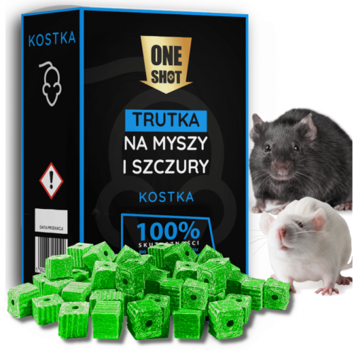 projekt-bez-tytulu-1.jpg
