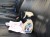letan cleaner 3.jpg
