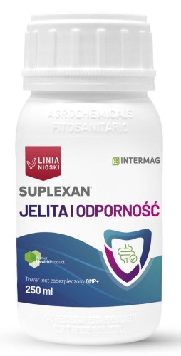 jelita_250.jpg