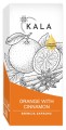 orangewithcinnamon.jpg