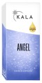 angel.jpg