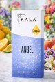 angel_1.jpg