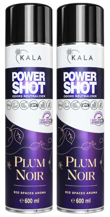 PlumNoirx2.png