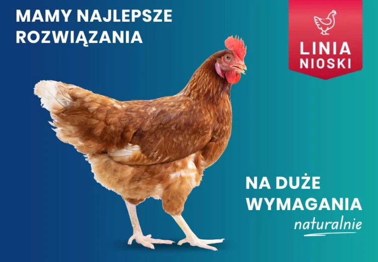 Zakwaszacz do wody dla drobiu Suplexan SUPLECID – 1 l – zdjęcie 2